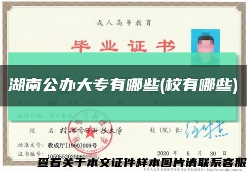 湖南公辦大專有哪些(校有哪些)縮略圖