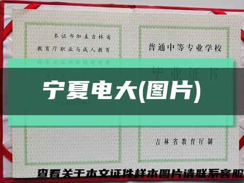 寧夏電大(圖片)縮略圖
