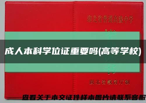 成人本科學位證重要嗎(高等學校)縮略圖