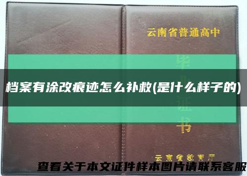 檔案有涂改痕跡怎么補救(是什么樣子的)縮略圖