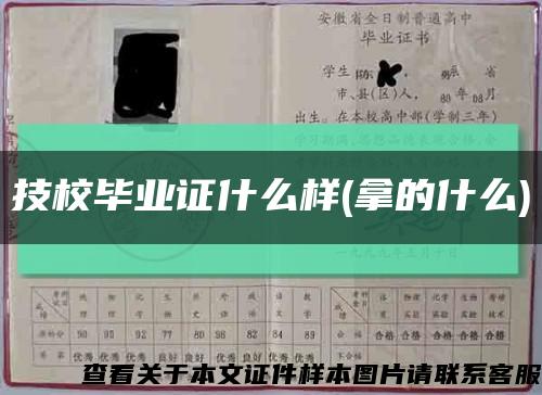 技校畢業證什么樣(拿的什么)縮略圖