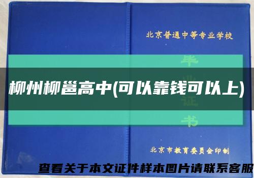 柳州柳邕高中(可以靠錢可以上)縮略圖