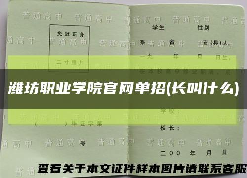 濰坊職業學院官網單招(長叫什么)縮略圖