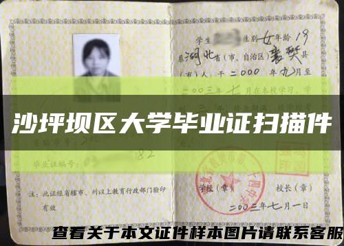 沙坪壩區大學畢業證掃描件縮略圖