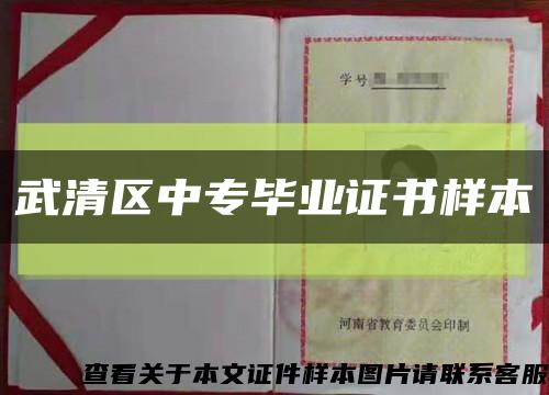 武清區中專畢業證書樣本縮略圖