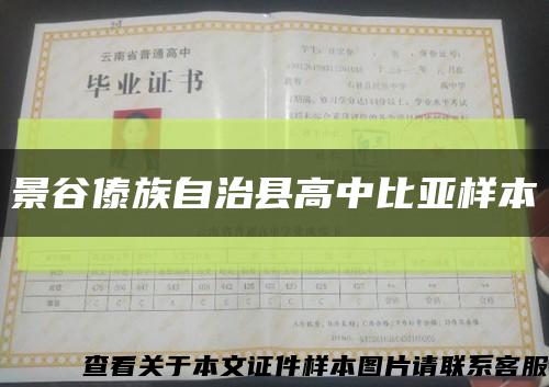 景谷傣族自治縣高中比亞樣本縮略圖