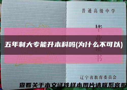 五年制大專能升本科嗎(為什么不可以)縮略圖