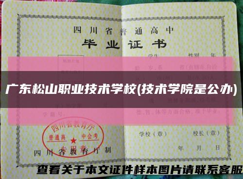 廣東松山職業技術學校(技術學院是公辦)縮略圖