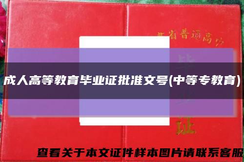 成人高等教育畢業證批準文號(中等專教育)縮略圖