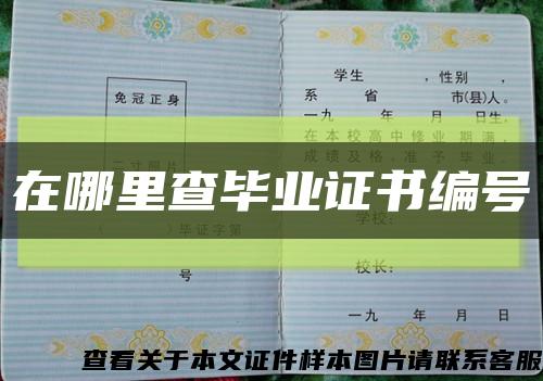 在哪里查畢業證書編號縮略圖