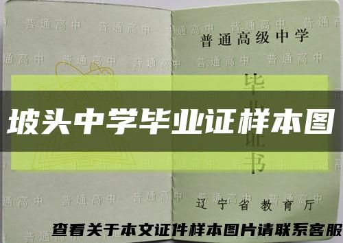 坡頭中學畢業證樣本圖縮略圖
