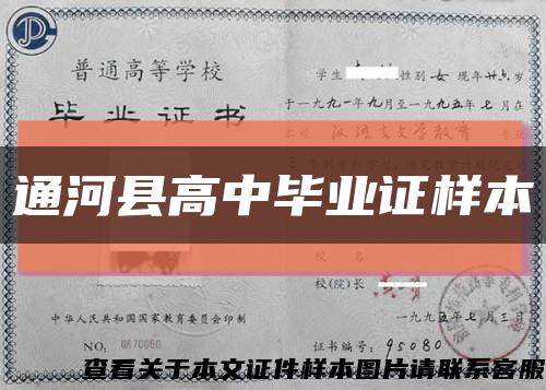通河縣高中畢業證樣本縮略圖