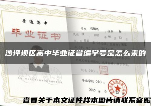 沙坪壩區高中畢業證省編學號是怎么來的縮略圖