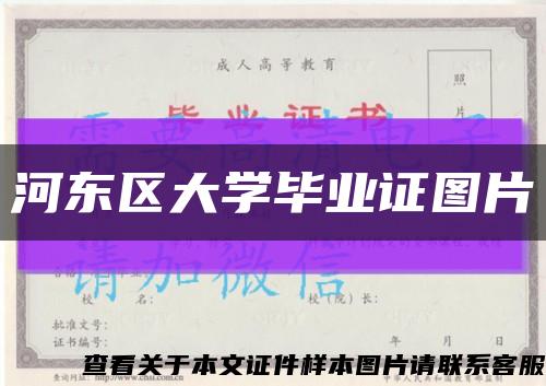 河東區大學畢業證圖片縮略圖