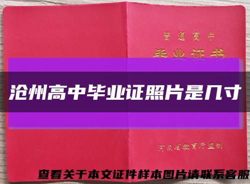 滄州高中畢業證照片是幾寸縮略圖
