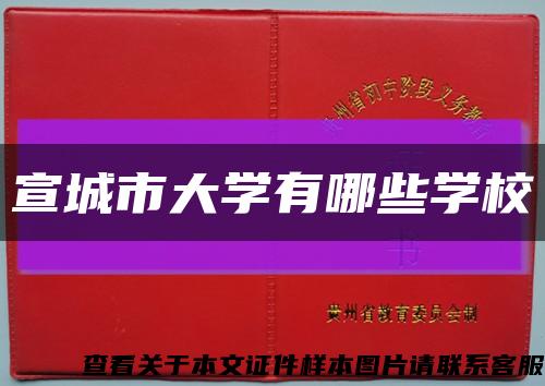 宣城市大學有哪些學?？s略圖
