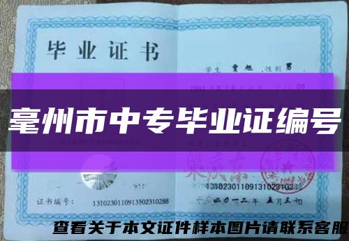 毫州市中專畢業證編號縮略圖