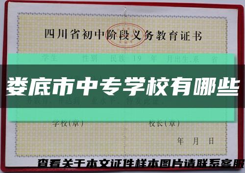 婁底市中專學校有哪些縮略圖