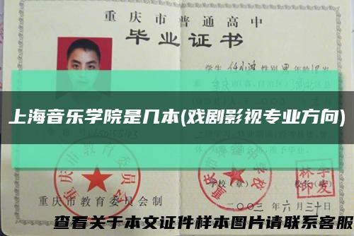 上海音樂學院是幾本(戲劇影視專業方向)縮略圖