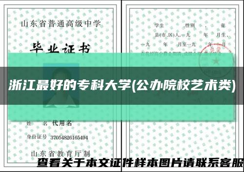 浙江最好的?？拼髮W(公辦院校藝術類)縮略圖