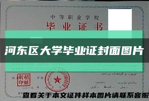 河東區大學畢業證封面圖片縮略圖