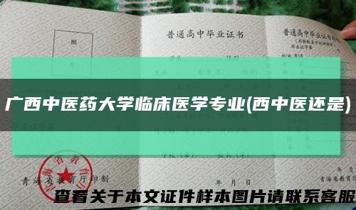廣西中醫藥大學臨床醫學專業(西中醫還是)縮略圖