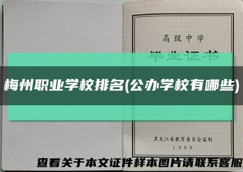 梅州職業學校排名(公辦學校有哪些)縮略圖