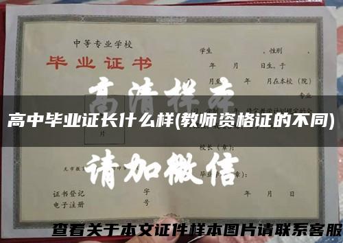 高中畢業證長什么樣(教師資格證的不同)縮略圖