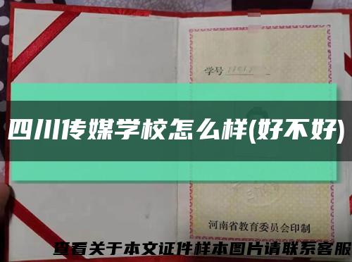 四川傳媒學校怎么樣(好不好)縮略圖