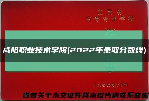 咸陽職業技術學院(2022年錄取分數線)縮略圖