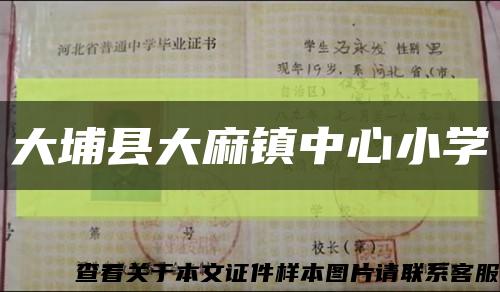 大埔縣大麻鎮中心小學縮略圖
