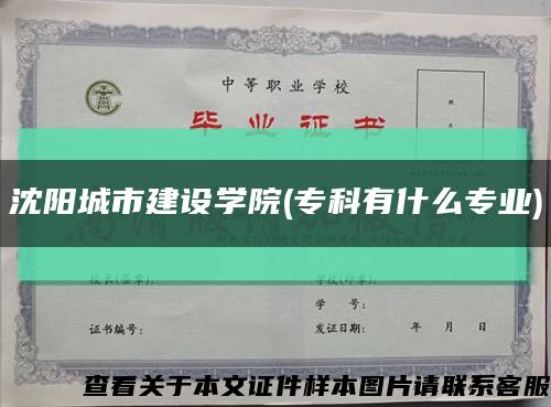 沈陽城市建設學院(?？朴惺裁磳I)縮略圖