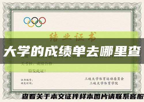 大學的成績單去哪里查縮略圖