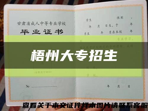 梧州大專招生縮略圖