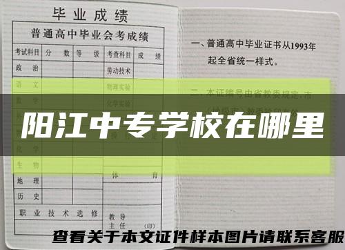 陽江中專學校在哪里縮略圖