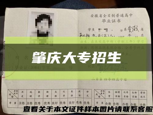 肇慶大專招生縮略圖