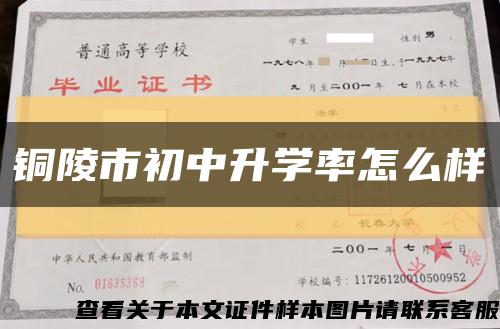銅陵市初中升學率怎么樣縮略圖
