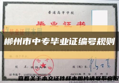 郴州市中專畢業證編號規則縮略圖