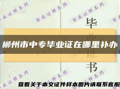 郴州市中專畢業證在哪里補辦縮略圖