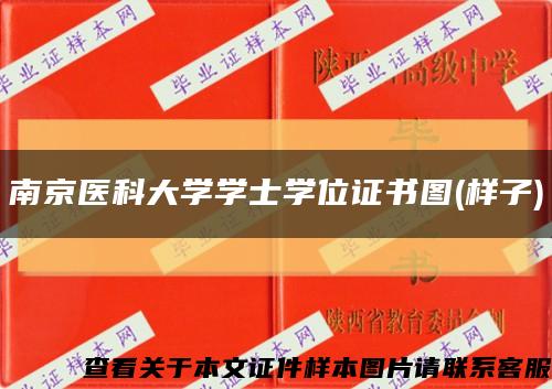 南京醫科大學學士學位證書圖(樣子)縮略圖