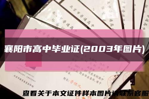 襄陽市高中畢業證(2003年圖片)縮略圖
