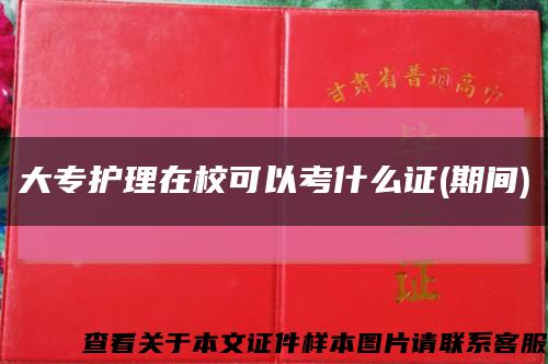 大專護理在?？梢钥际裁醋C(期間)縮略圖