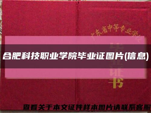 合肥科技職業學院畢業證圖片(信息)縮略圖