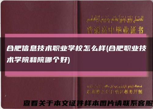 合肥信息技術職業學校怎么樣(合肥職業技術學院和院哪個好)縮略圖