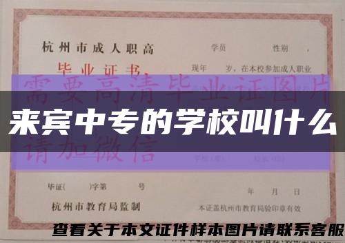 來賓中專的學校叫什么縮略圖