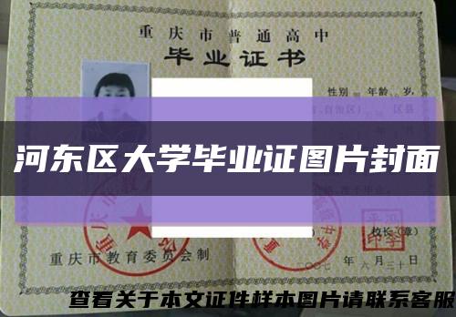 河東區大學畢業證圖片封面縮略圖