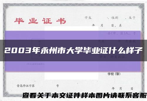 2003年永州市大學畢業證什么樣子縮略圖