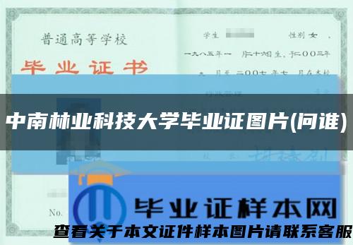中南林業科技大學畢業證圖片(問誰)縮略圖