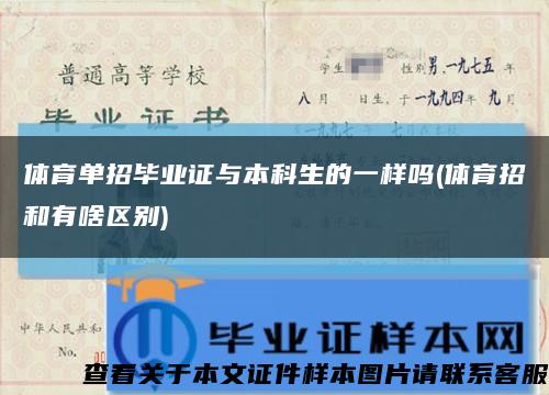 體育單招畢業證與本科生的一樣嗎(體育招和有啥區別)縮略圖