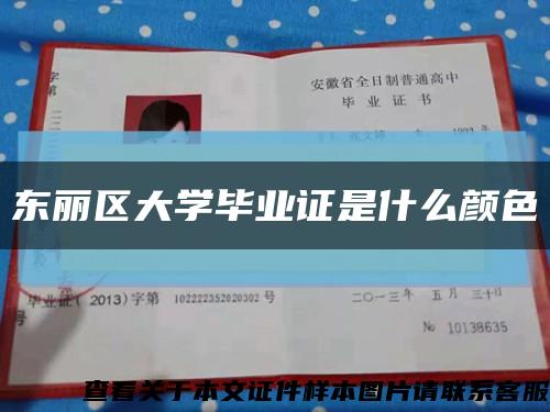 東麗區大學畢業證是什么顏色縮略圖